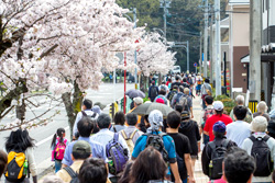 洲原公園西口交差点を右へ曲がり、桜が立ち並ぶ道を進むと、洲原神社です。
